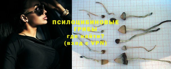 ГАЛЛЮЦИНОГЕННЫЕ ГРИБЫ Абинск