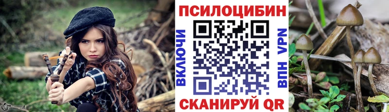Псилоцибиновые грибы Cubensis  купить наркоту  Фокино 